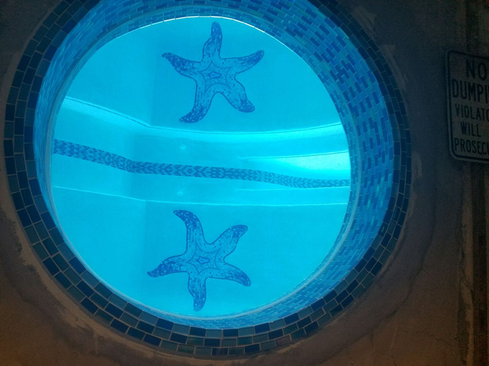 Glass mosaic in a residential swimming pool in Naples, Florida, photo 8