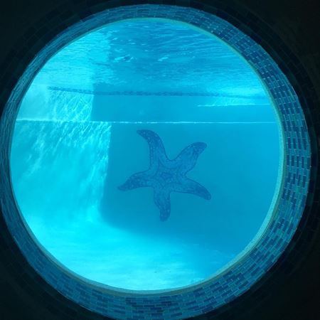 Glass mosaic in a residential swimming pool in Naples, Florida, photo 3