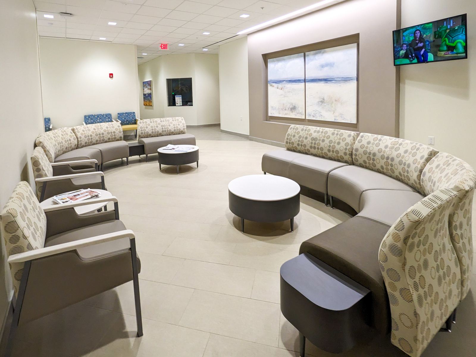 Sandpipers painting by Mila Apperlo at University Highlands Lee Health, Estero