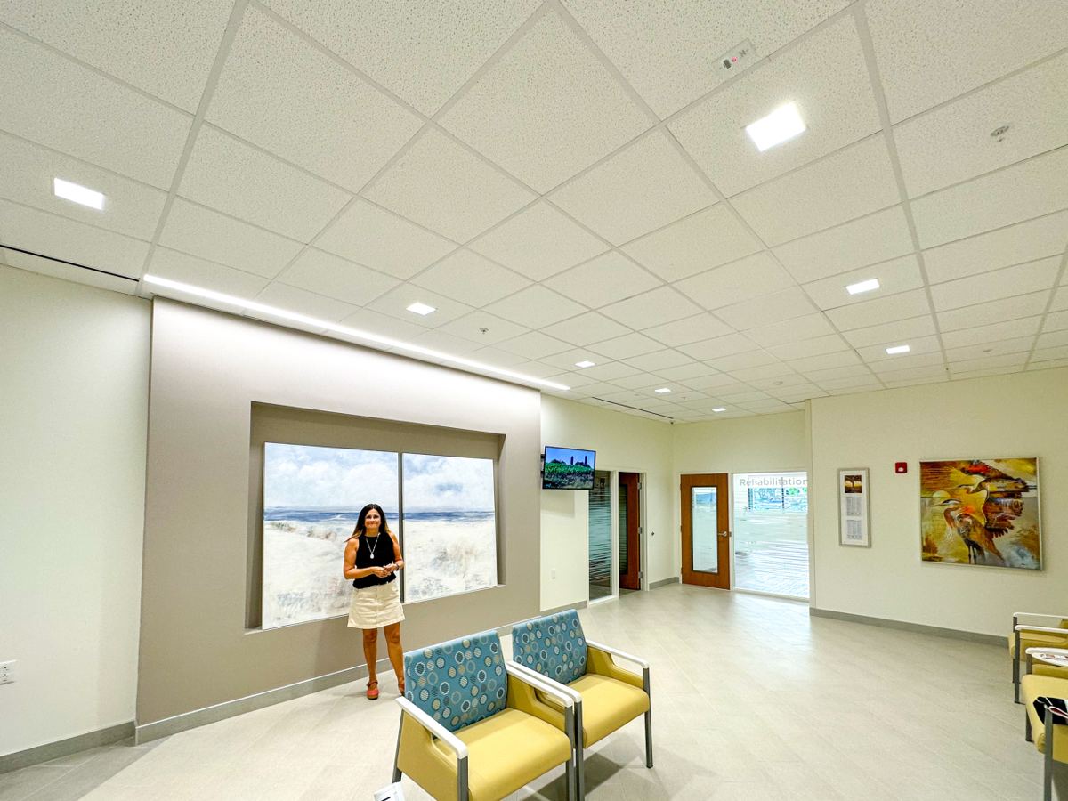 Sandpipers painting by Mila Apperlo at University Highlands Lee Health, Estero
