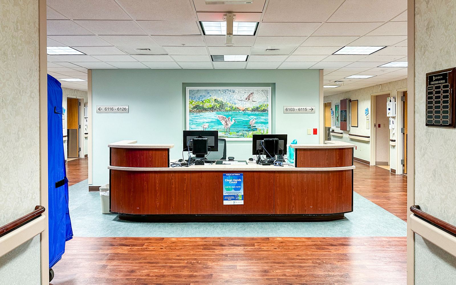 Glass mosaic at Lee Memorial Hospital, Fort Myers