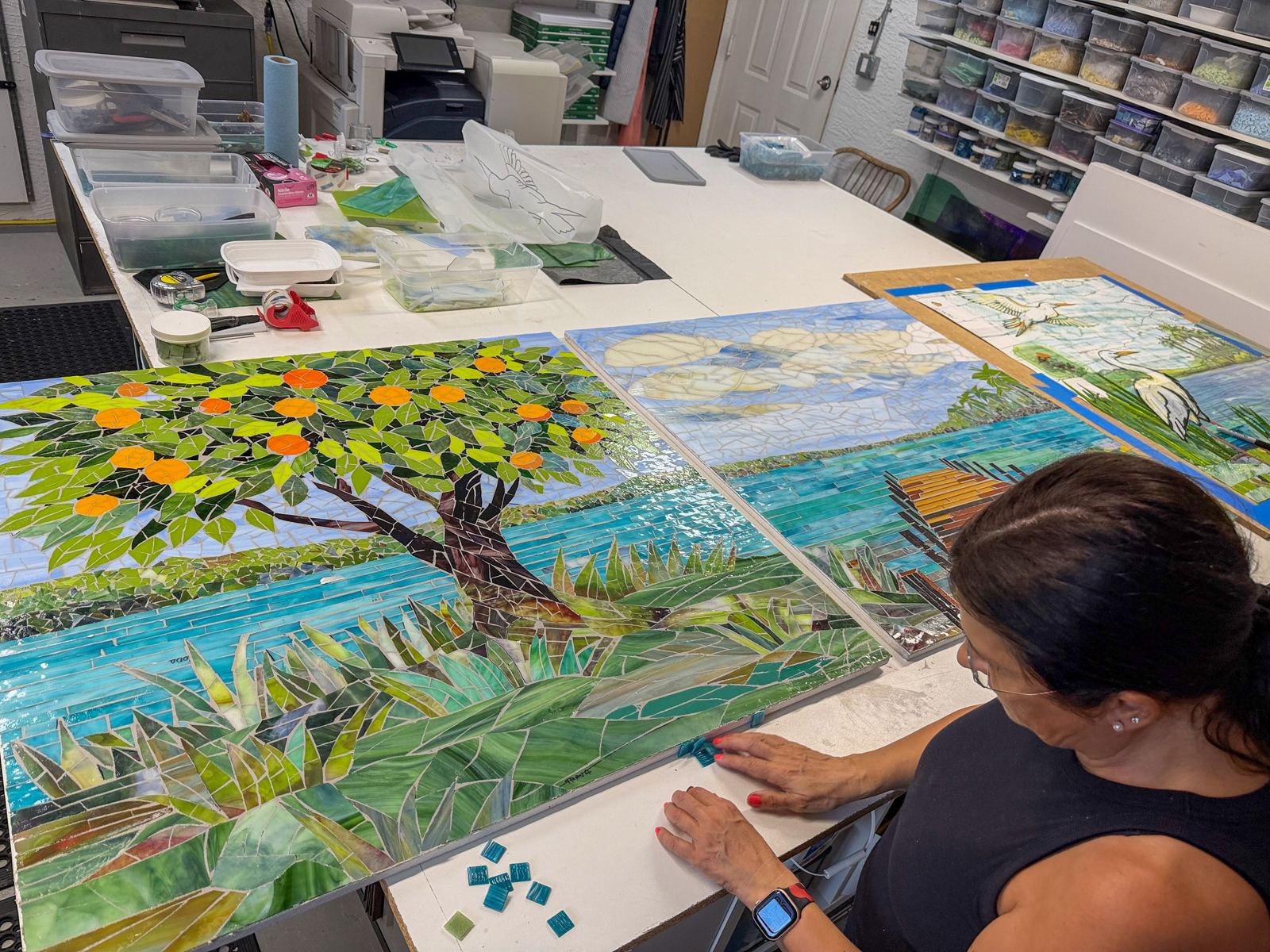Glass mosaic triptych for Lakeland Regional Health, photo 1